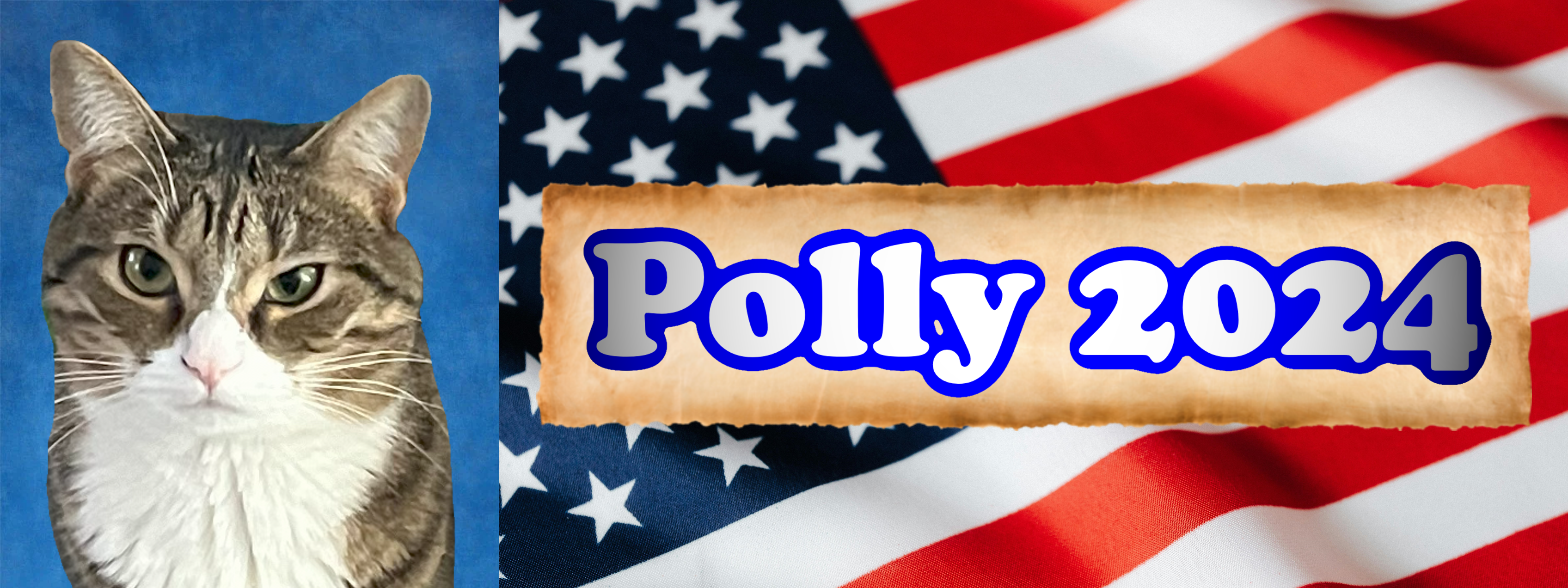 polly 2024 campaign logo