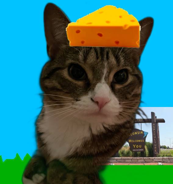 polly in wisconsin wearing a cheese hat